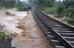 Heavy rain kills 22 in Kerala, over 100 houses vacated, boats used to evacuate people from low-lying